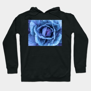 Purple Cabbage Hoodie